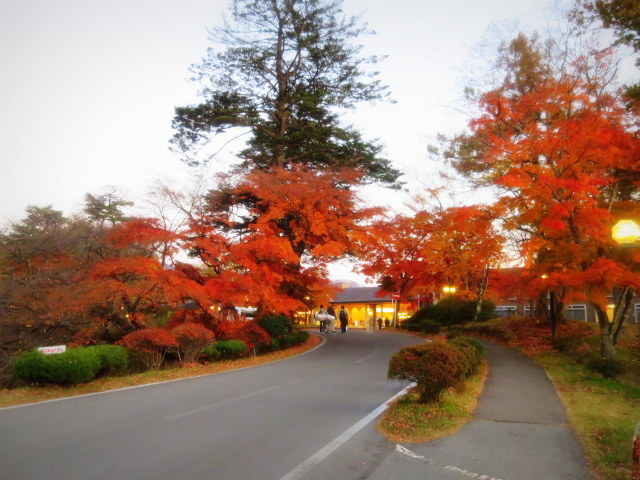 11月の黄葉＊晩秋の軽井沢_f0236260_18022713.jpg