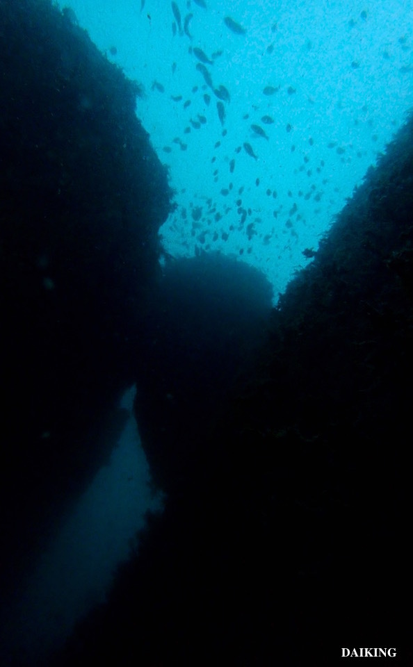 e0158261_14501879.jpg