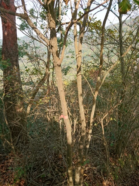 c0260463_05421903.jpg