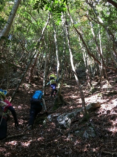 c0260463_19263464.jpg
