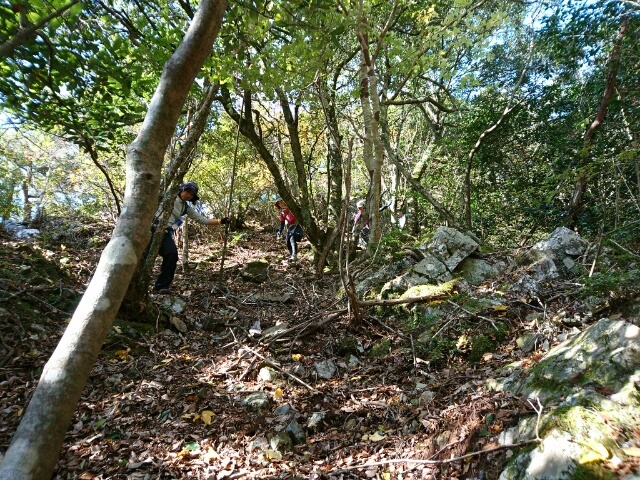 c0260463_19272643.jpg