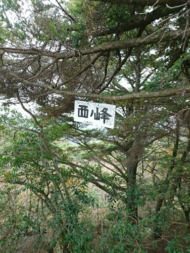 c0260463_19353829.jpg