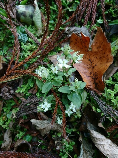 c0260463_21073910.jpg