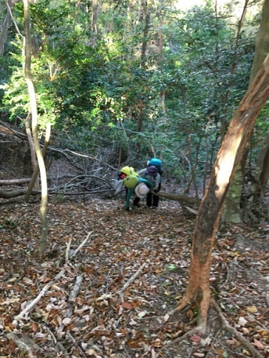 c0260463_21081341.jpg