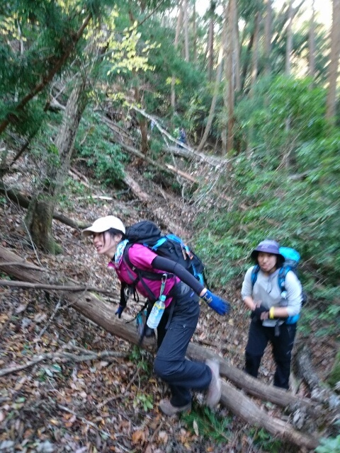 c0260463_21110518.jpg