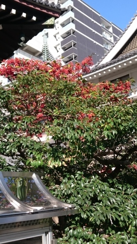 f0256164_12580720.jpg