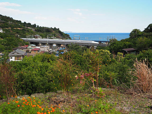 f0199866_22251792.jpg