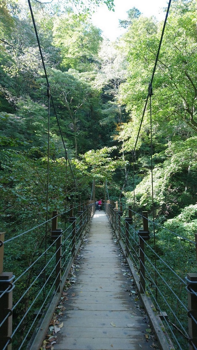 Hiking in 高尾山_c0002171_00593298.jpg