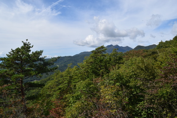 ♪ ダニエル 初めての金の鯉で縁起がいい～(^^)/ ♪_b0242873_00151201.jpg