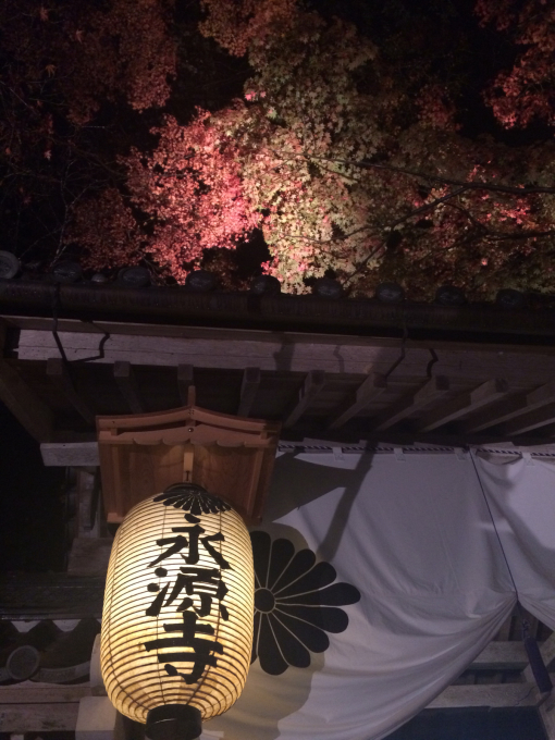 紅葉バスツアーに行ってきました(^_-)-☆_f0152875_23023621.jpg