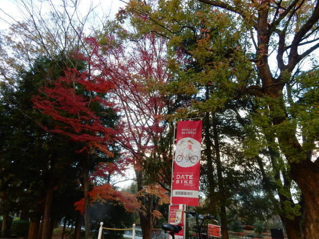 早朝紅葉狩り③_e0355177_08511977.jpg