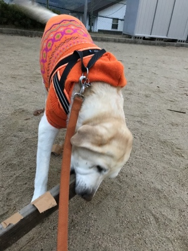 f0315081_20012321.jpeg