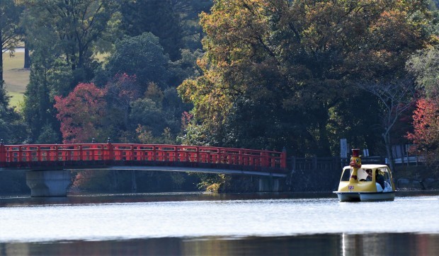 鞍ヶ池の紅葉と野鳥_d0361783_20541914.jpg