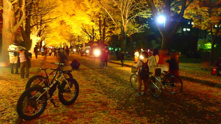 a0242984_16180086.jpg