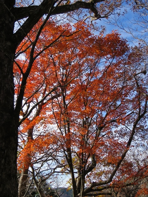 f0357487_22190060.jpg