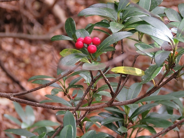 f0357487_22203825.jpg
