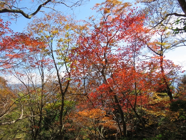 f0357487_22231334.jpg