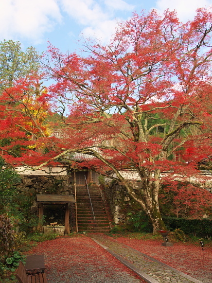 紅葉めぐり2017~神蔵寺～(11/12)_d0026589_21245537.jpg