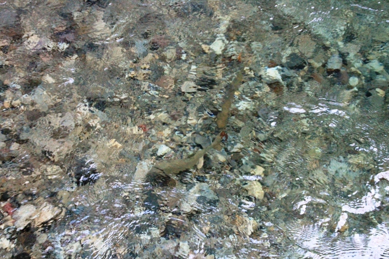 b0207491_14072389.jpg