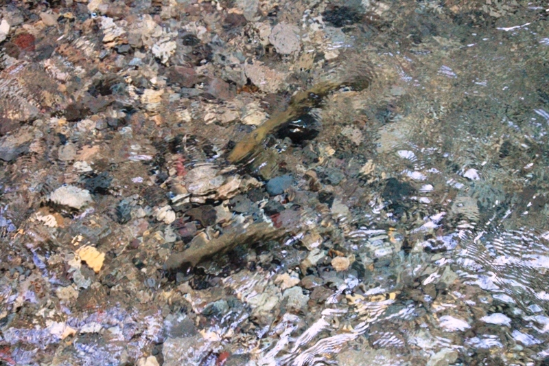 b0207491_14073773.jpg