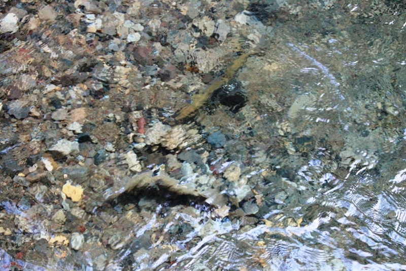 b0207491_14075959.jpg