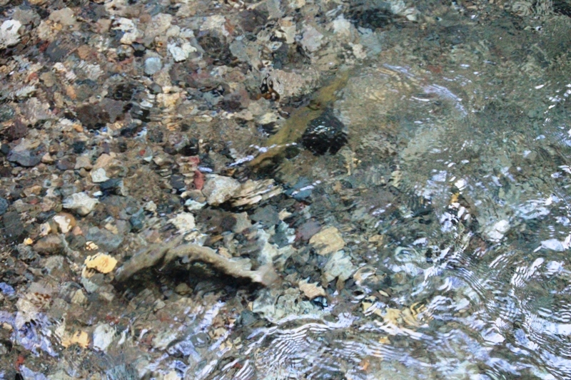 b0207491_14085814.jpg