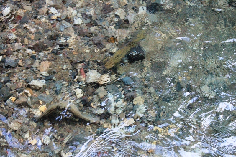 b0207491_14091431.jpg