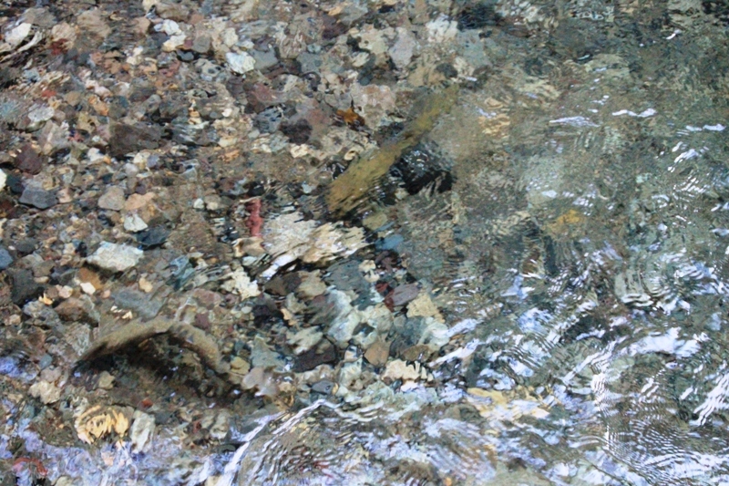 b0207491_14093137.jpg