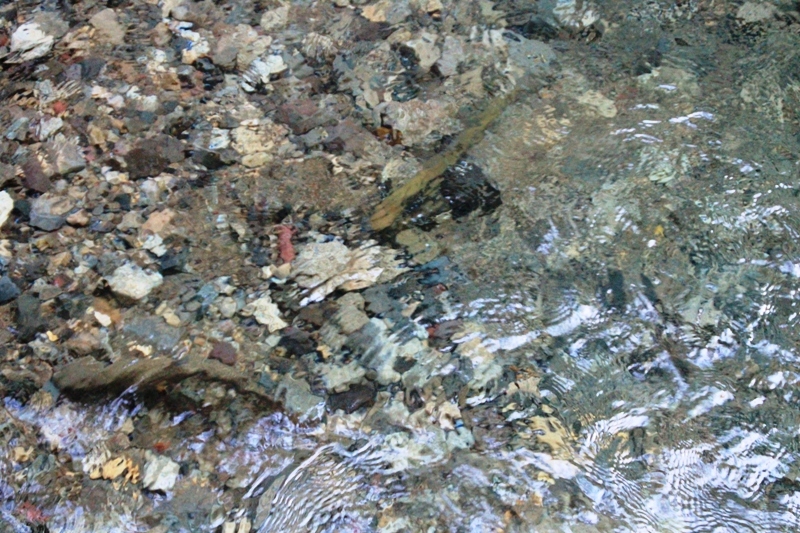 b0207491_14094864.jpg