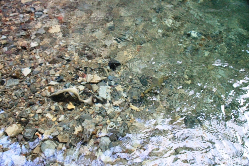 b0207491_14113863.jpg