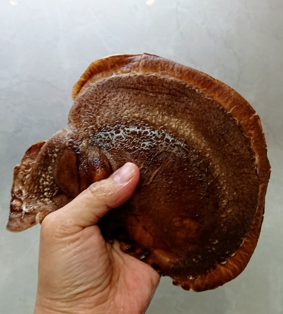 e0167593_00390842.jpg