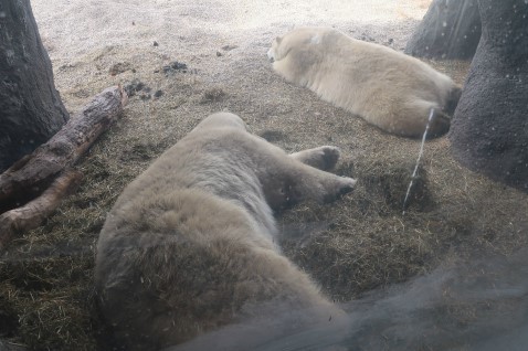 f0297893_11022422.jpg