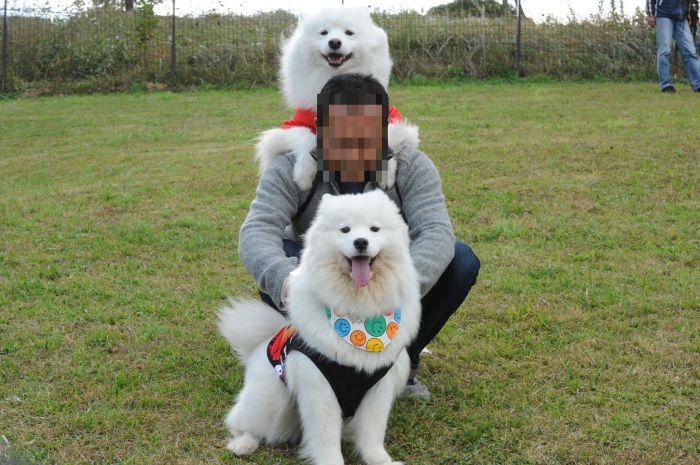第12回 中部サモエドオフ会 2_a0049296_18142842.jpg