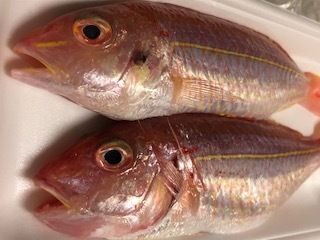 b0289696_11000411.jpg