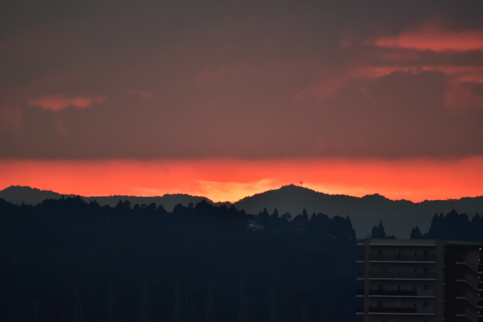 c0049299_22424200.jpg