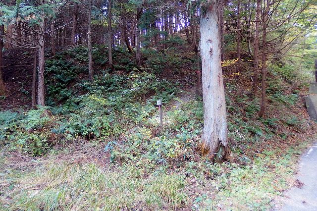 e0137200_22121790.jpg