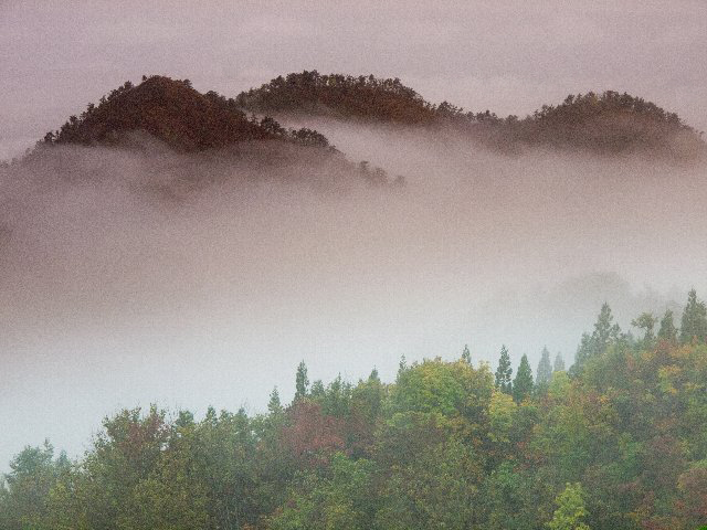 c0008502_1849166.jpg