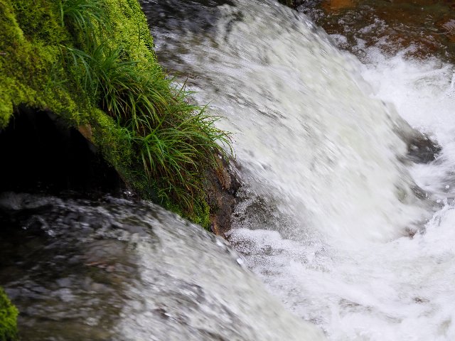 c0008502_1945245.jpg