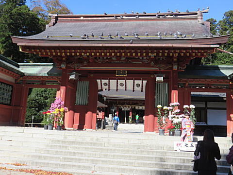 d0046702_06543479.jpg