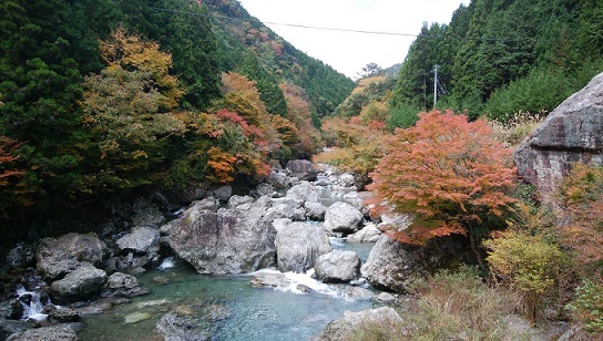 奥矢作湖ダムの紅葉。_a0337807_21245988.jpg