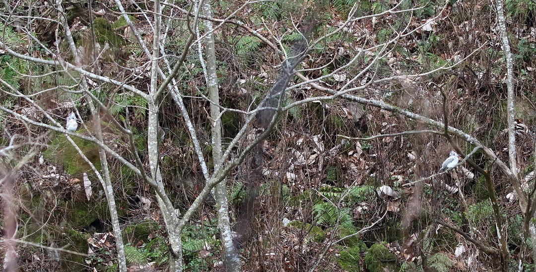c0295707_14041642.jpg