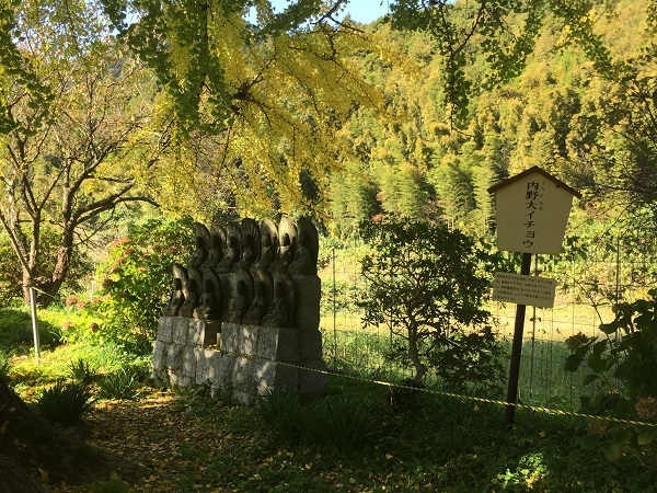 f0364707_14483446.jpg