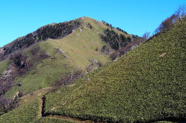 樹氷：剣山（剣山山頂から次郎笈、下山）_a0133211_20585138.jpg