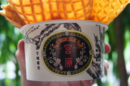 【台湾旅行記⑪ 宮原眼科でアイス】_f0215714_16264219.jpg