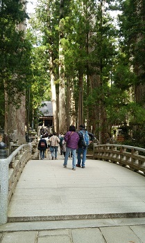 高野山と龍神温泉(中平)_f0354314_08284998.jpg