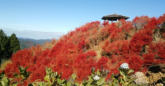 高野山と龍神温泉(中平)_f0354314_08293402.jpg