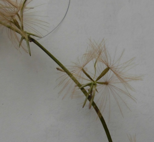 b0181818_09065253.jpg