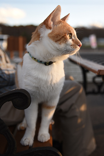 ありがちな休日_b0259218_00193318.jpg