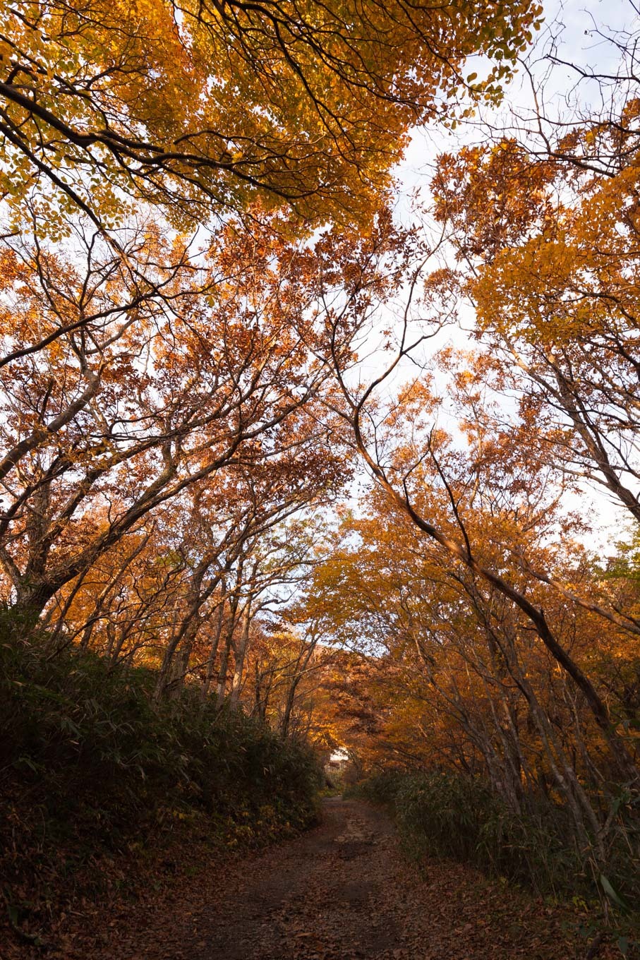 c0369219_21433440.jpg