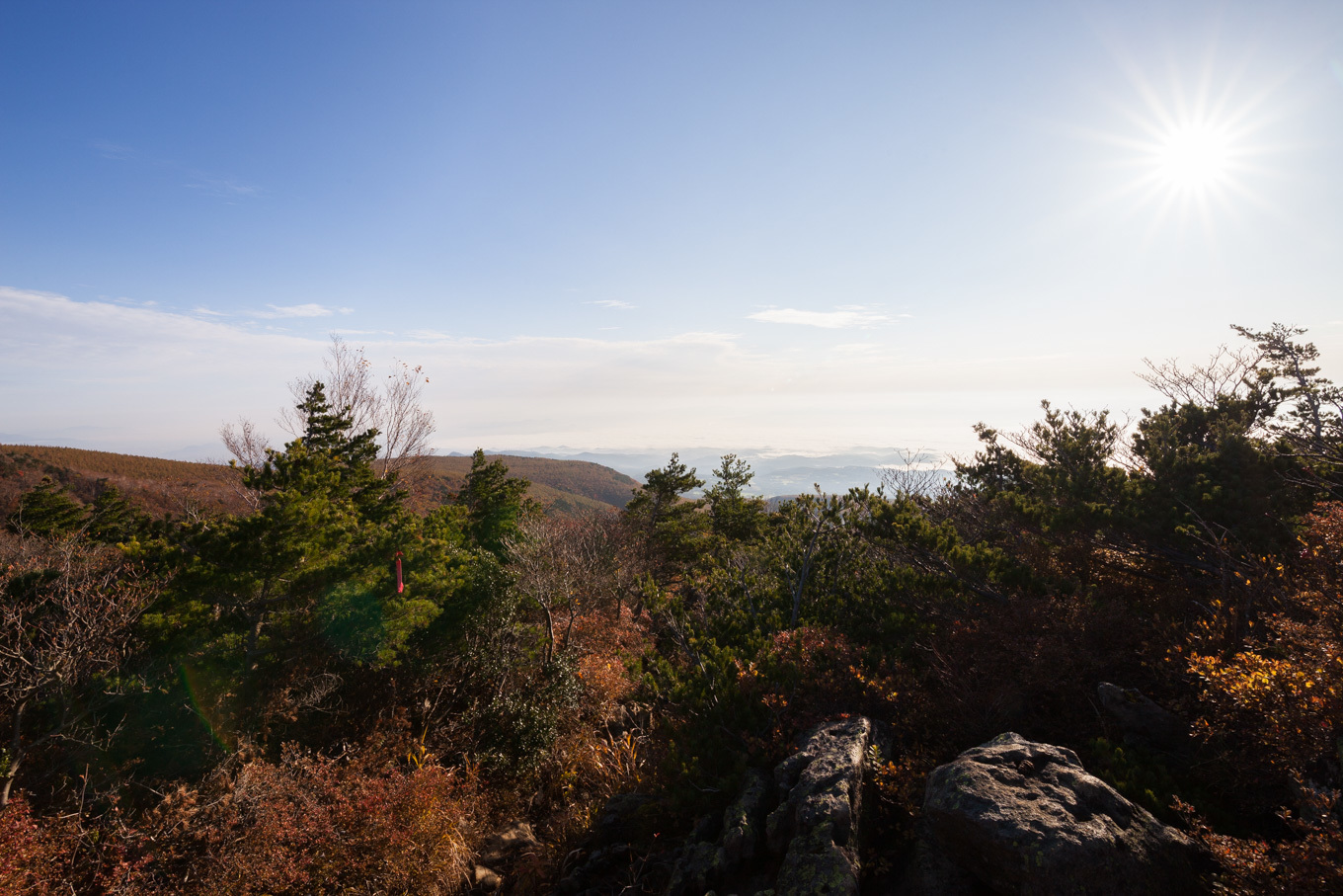 c0369219_22185145.jpg